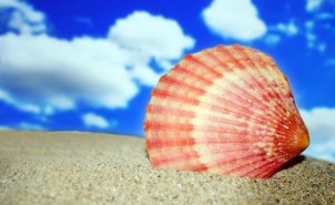 Sur rendez-vous pendant les vacances